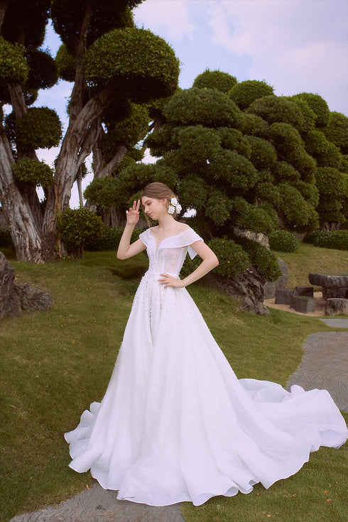 Ball gown beaded wedding dress